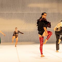 LesOiseaux 20250629 088.jpg