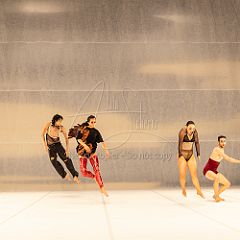 LesOiseaux 20250629 089.jpg