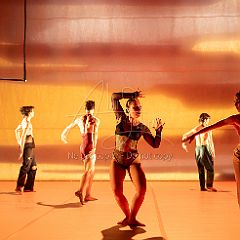 LesOiseaux 20250629 093.jpg