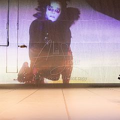 LesOiseaux 20250629 098.jpg