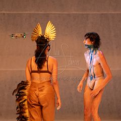 LesOiseaux 20250629 107.jpg