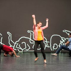 Qu est_ce_qui_nous_arrive_20130620_038 CPR.jpg