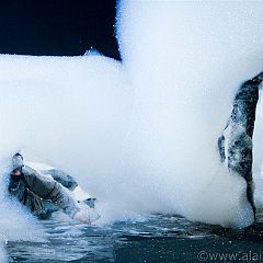 SOAPERA 20100703_7D7046 WEB.jpg