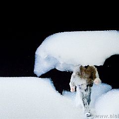 Mathilde Monnier - Soapera