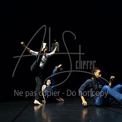 CloseUp 20240714 065.jpg