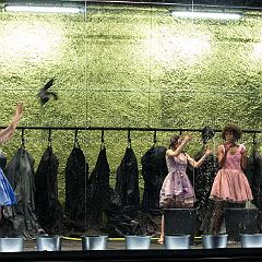 Belle_d'Hier 20150625_050 CPR.jpg