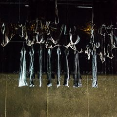 Belle_d'Hier 20150625_074 CPR.jpg