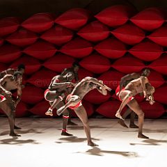 Clameur des_Arenes_20140629_040 CPR.jpg