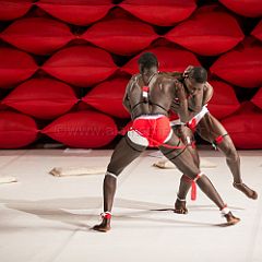 Clameur des_Arenes_20140629_057 CPR.jpg