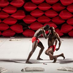 Clameur des_Arenes_20140629_083 CPR.jpg