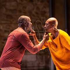 Multiple-s 20190706_036 CPR.jpg