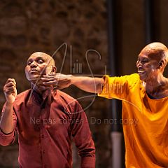 Multiple-s 20190706_040 CPR.jpg