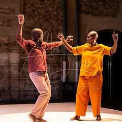 Multiple-s 20190706_042 CPR.jpg