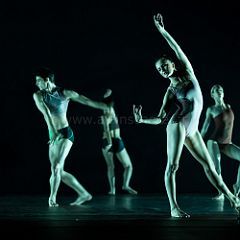 Atomos 20140701_032 CPR.jpg